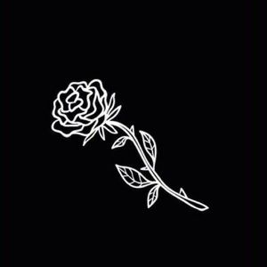 Meet your Posher, Carli